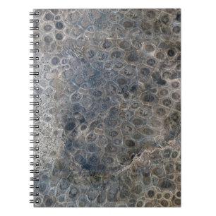 Michigan Petoskey Stone Mönster Anteckningsbok