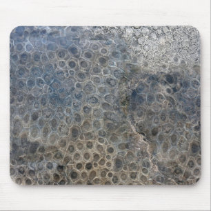 Michigan Petoskey Stone Mönster Musmatta