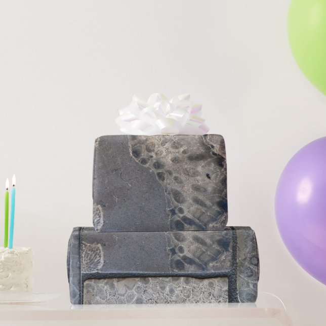 Michigan Petoskey Stone Presentpapper (Festgåvor)