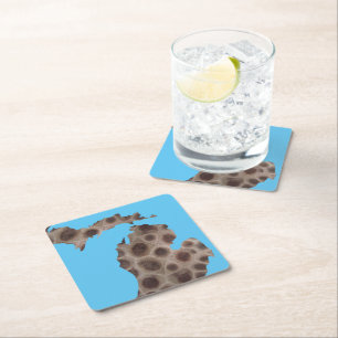 Michigan Petoskey Stone, Underbara Sjöar ullen Underlägg Papper Kvadrat