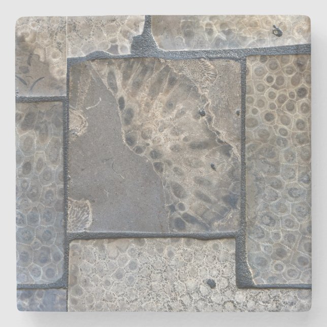 Michigan Petoskey Stone Underlägg (Framsidan)