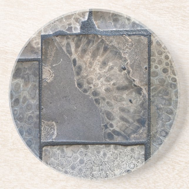 Michigan Petoskey Stone Underlägg (Framsidan)