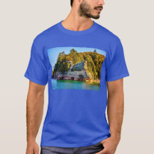 MICHIGAN - PICTURED STEN T-SHIRT