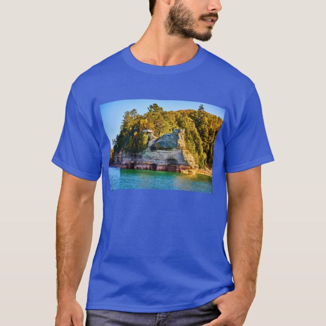 MICHIGAN - PICTURED STEN T-SHIRT (Framsida)