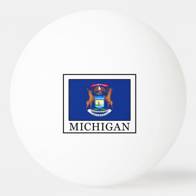 Michigan Pingisboll (Framsidan)
