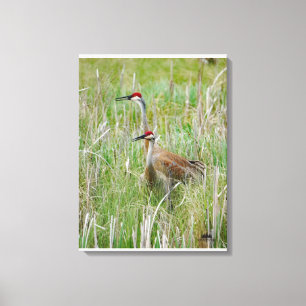 Michigan Sandhill Cranes Canvastryck