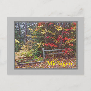 ’MICHIGAN’/SPLIT RAIL FENCE AND AUTUMN FÄRG’ VYKORT