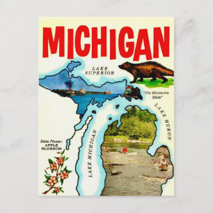 Michigan State Antik Postkort Vykort