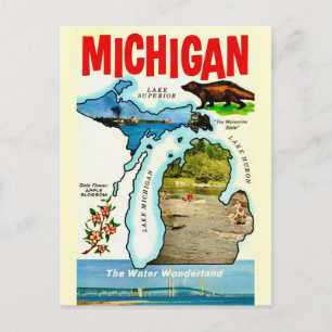 Michigan State Antik vykort