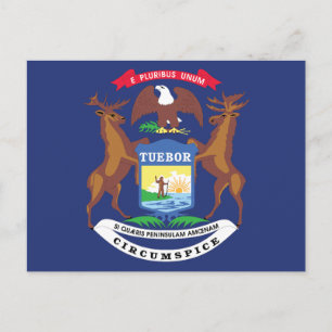 Michigan State Flag Great Lakes State Sigill Älg Vykort