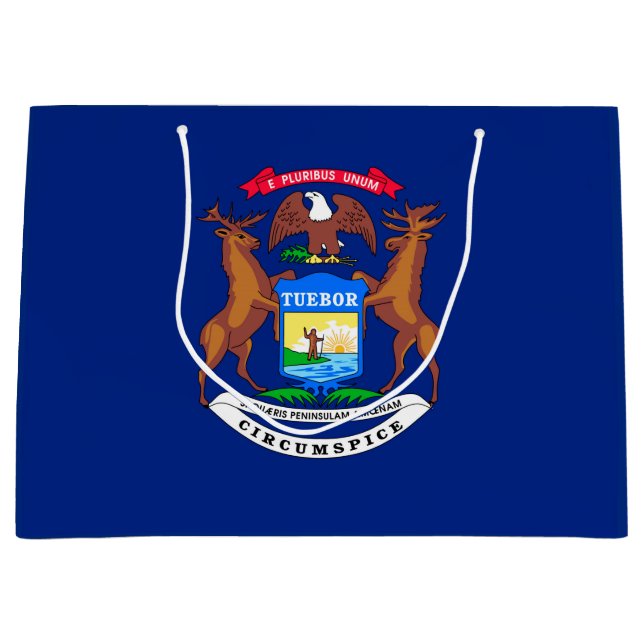 Michigan Statlig flagga Design (Framsidan)