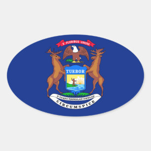 Michigan Statlig flagga Design Ovalt Klistermärke