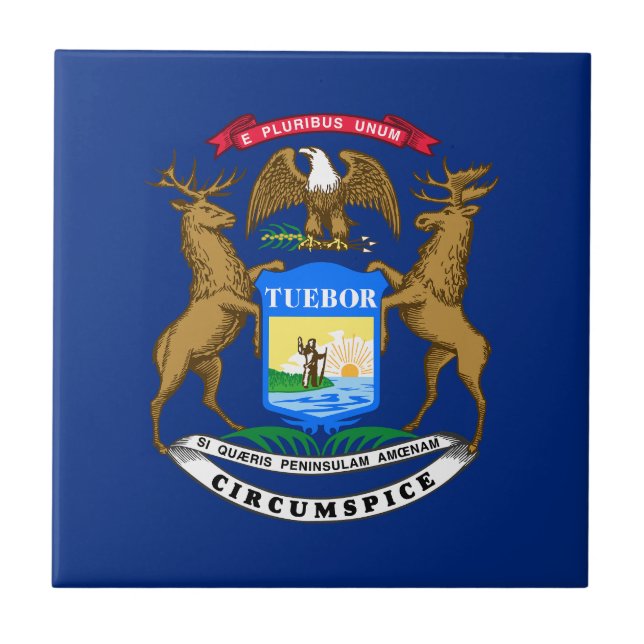 Michigan Statlig flagga Kakelplatta (Framsidan)
