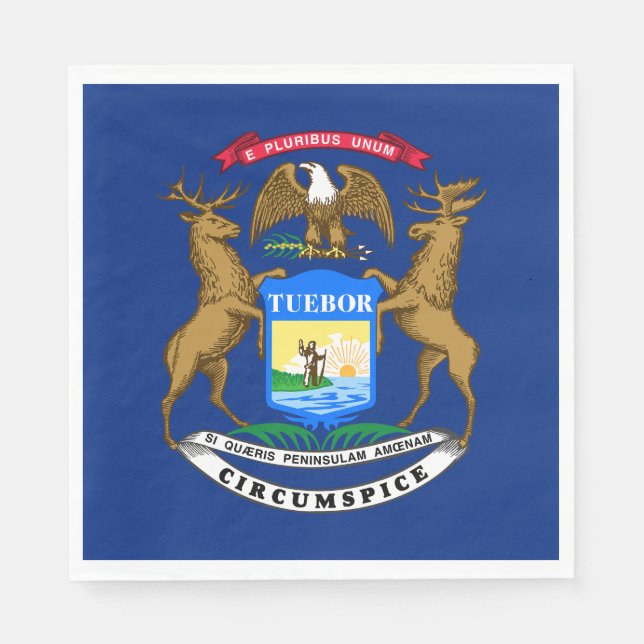 Michigan Statlig flagga Pappersservett (Framsidan)