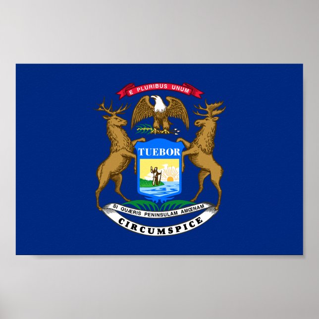 Michigan Statlig flagga Poster (Framsidan)