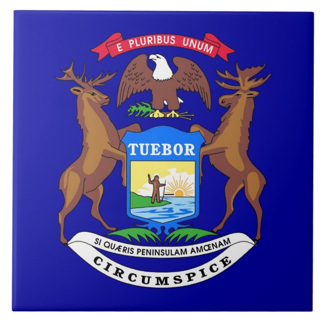 Michigan Statlig flagga Tile Kakelplatta (Framsidan)