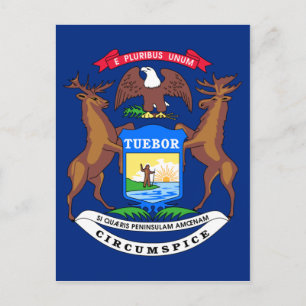Michigan Statlig flagga Vykort