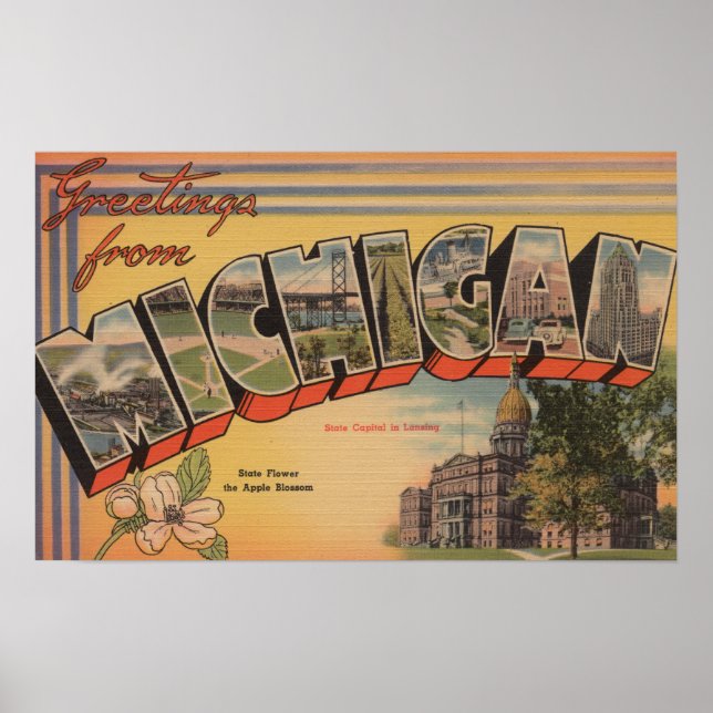 Michigan (statligt kapital/blomma) poster (Framsidan)