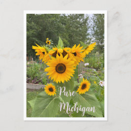 Michigan Summer Sunblomma Postcross-kort Vykort