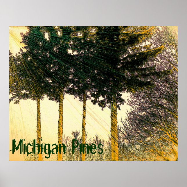 Michigan Tallposter Poster (Framsidan)