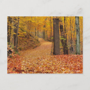 Michigan Trails Vykort