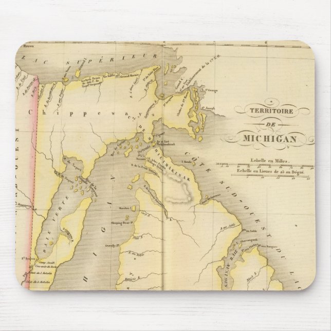 Michigan US Musmatta (Framsidan)
