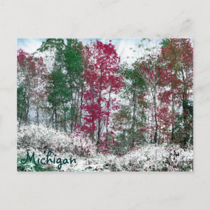 Michigan Vykort