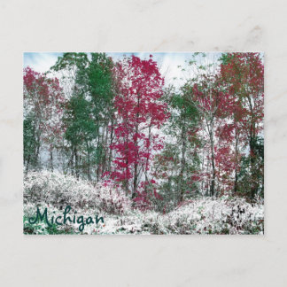 Michigan Vykort