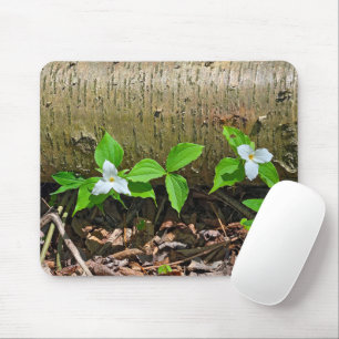 Michigan White Trilliums Musmatta