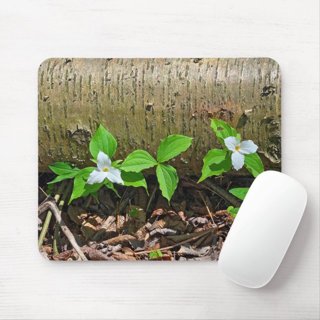 Michigan White Trilliums Musmatta (Med mus)