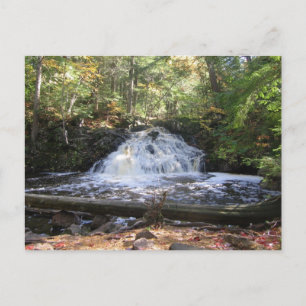 Michigan Wilderness Waterfall vykort