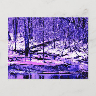 Michigan Winter Vykort