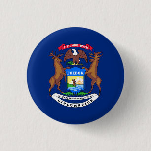 Michigander Flagga, Flagga Michigan Knapp