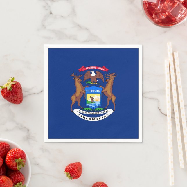 Michiganderflagga, Flagga för Michigan Pappersservett (Insitu)
