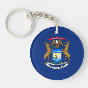 Michigans delstatsflagga