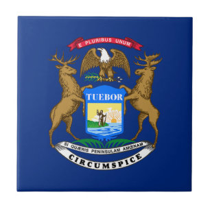 Michigans delstatsflagga kakelplatta