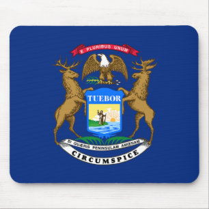 Michigans delstatsflagga musmatta