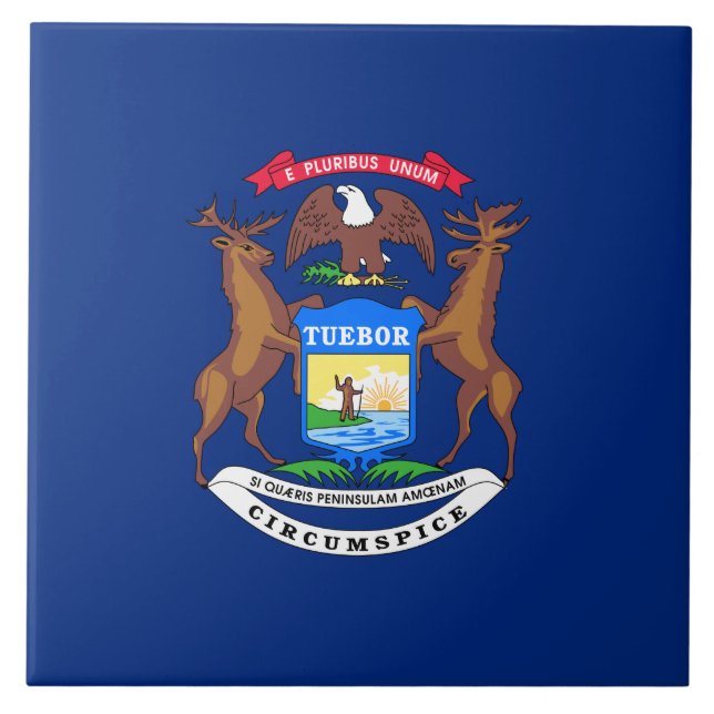 Michigans flagga kakelplatta (Framsidan)