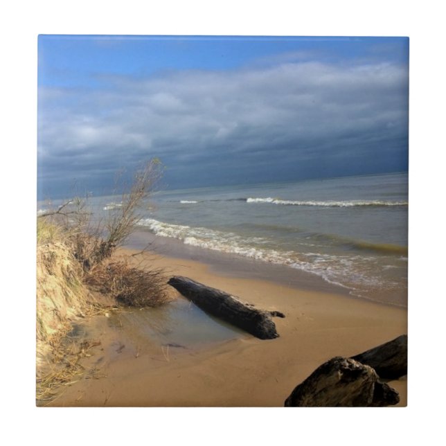 Michigansjön, Sheboygan, Wisconsin Kakelplatta (Framsidan)