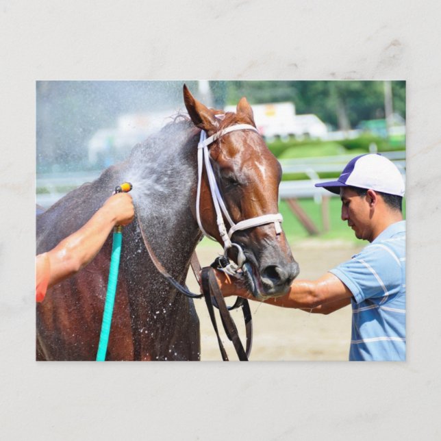 Michonne Vykort (Framsida)