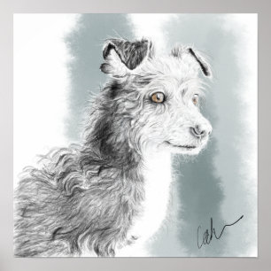 Mickey hund teckning poster