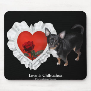 MickeyElvis Chihuahua 8 Musmatta