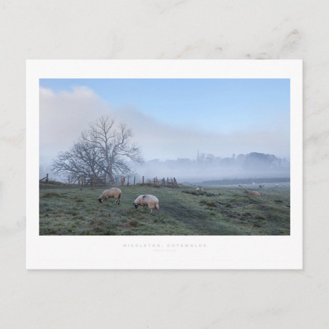 Mickleton, Cotswments Vykort (Framsida)