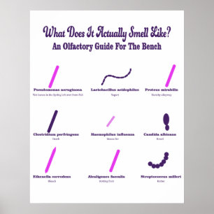 Microbiology Bench Olfabrik Guide Poster