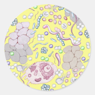 Microbiology i gult runt klistermärke
