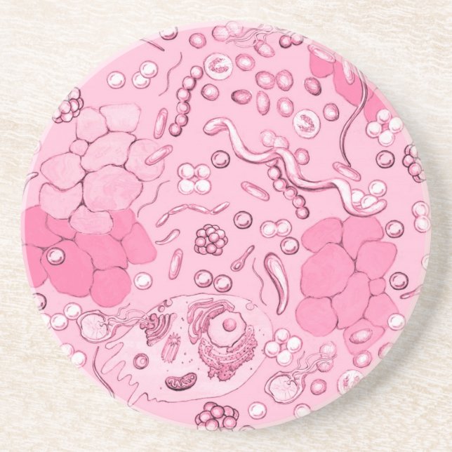 Microbiology i rosor underlägg (Framsidan)