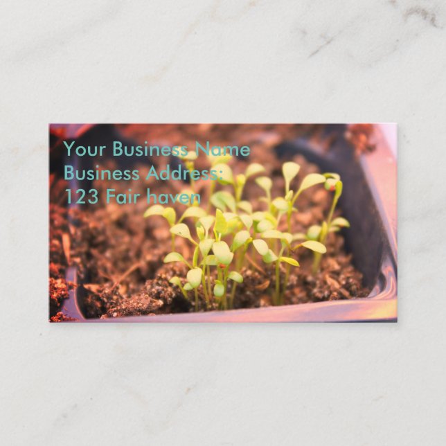 Microgreens Visitkort (Framsida)