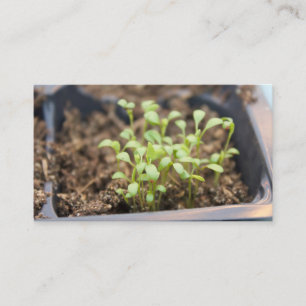 Microgreens Visitkort