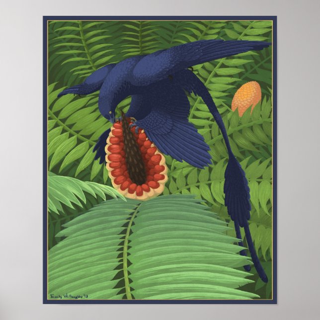 Microraptor Omnivory Poster (Framsidan)