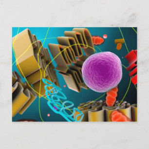 Microscopic View Of Animal Cell Nucleus Vykort